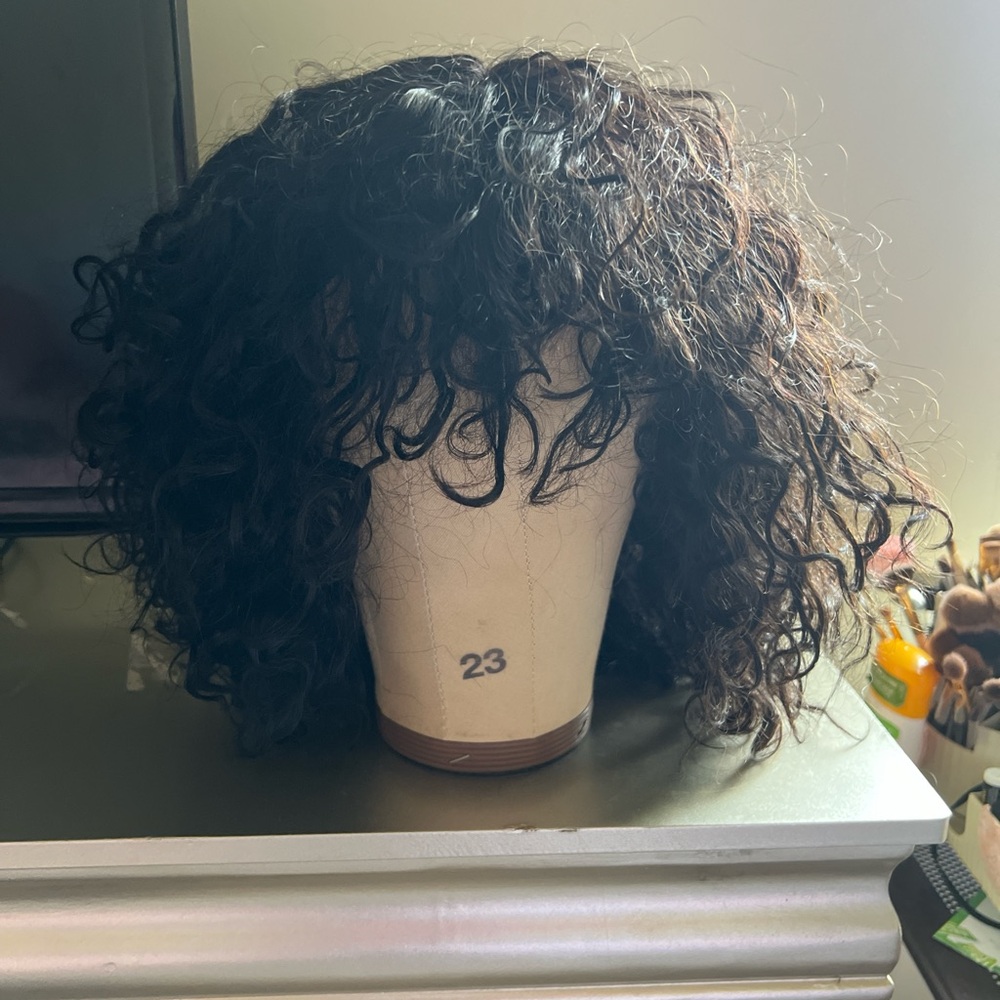 Voluminous Curly Wig in Black